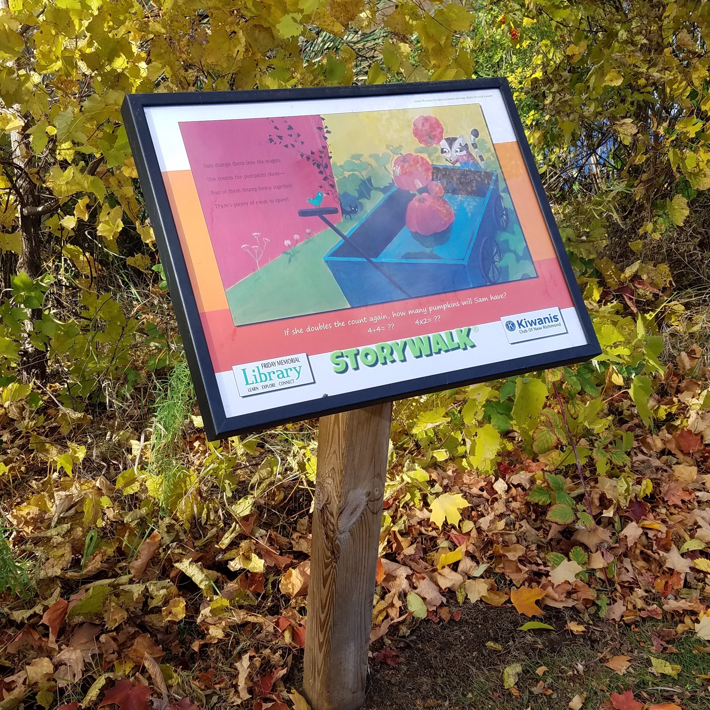 sixteen runaway pumpkins storywalk in fall