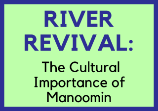 Text reads "RIVER REVIVAL: The Cultural Importance of Manoomin" on a light green background with a blue border.