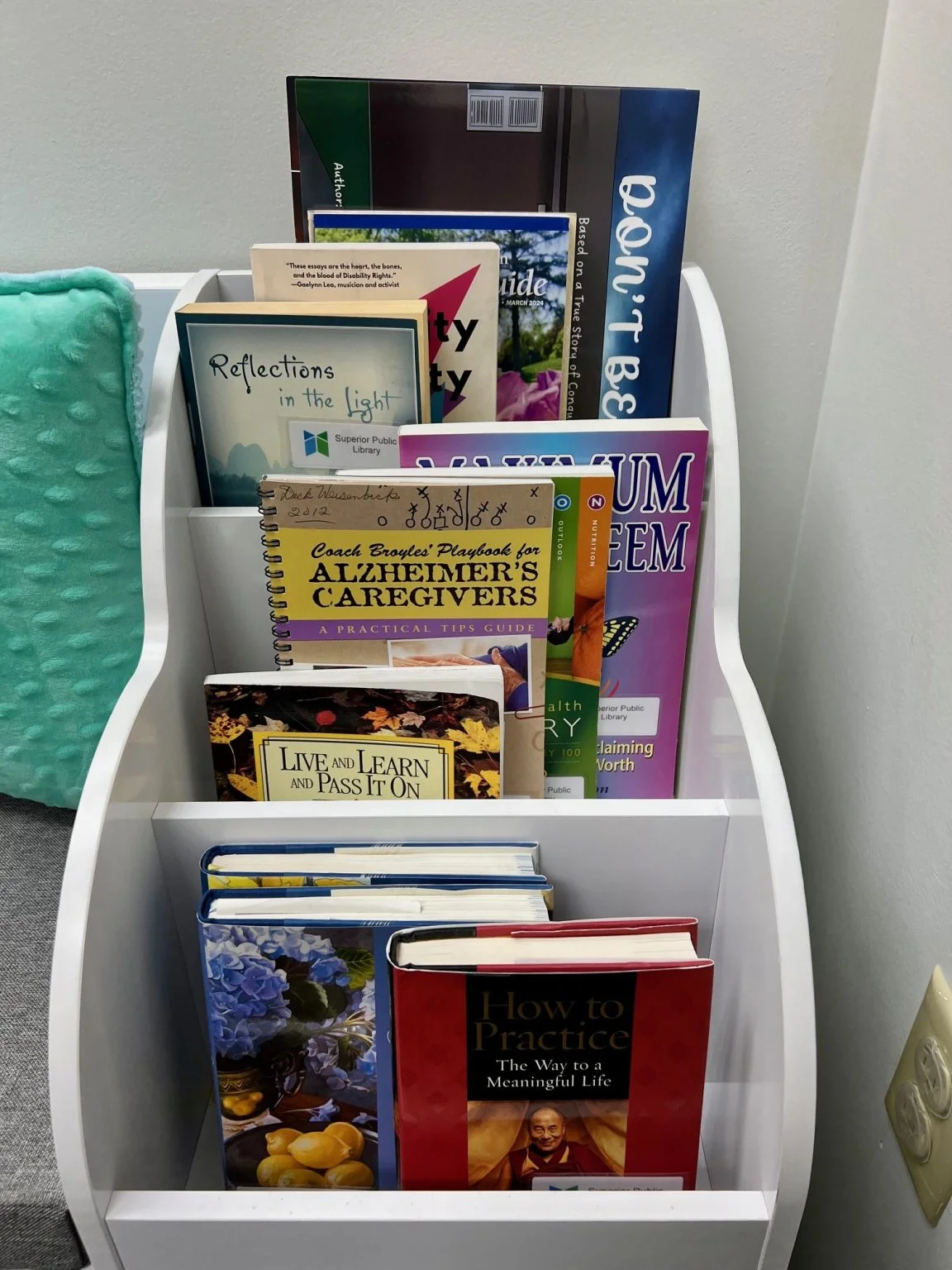 An assortment of books on a white shelf