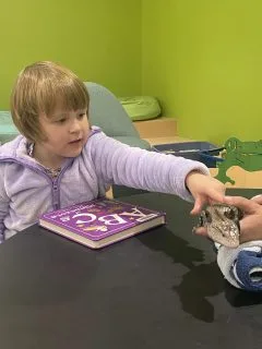 Little girl petting a lizard held in an adults hands.