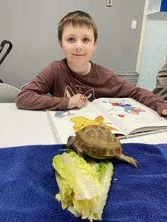 Boy sitting with a coloring book at a table while a tortoise looks on.