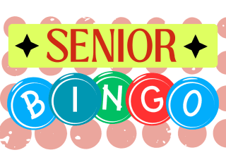 Colorful 'Senior Bingo' event design with bold, circular letters and star accents.